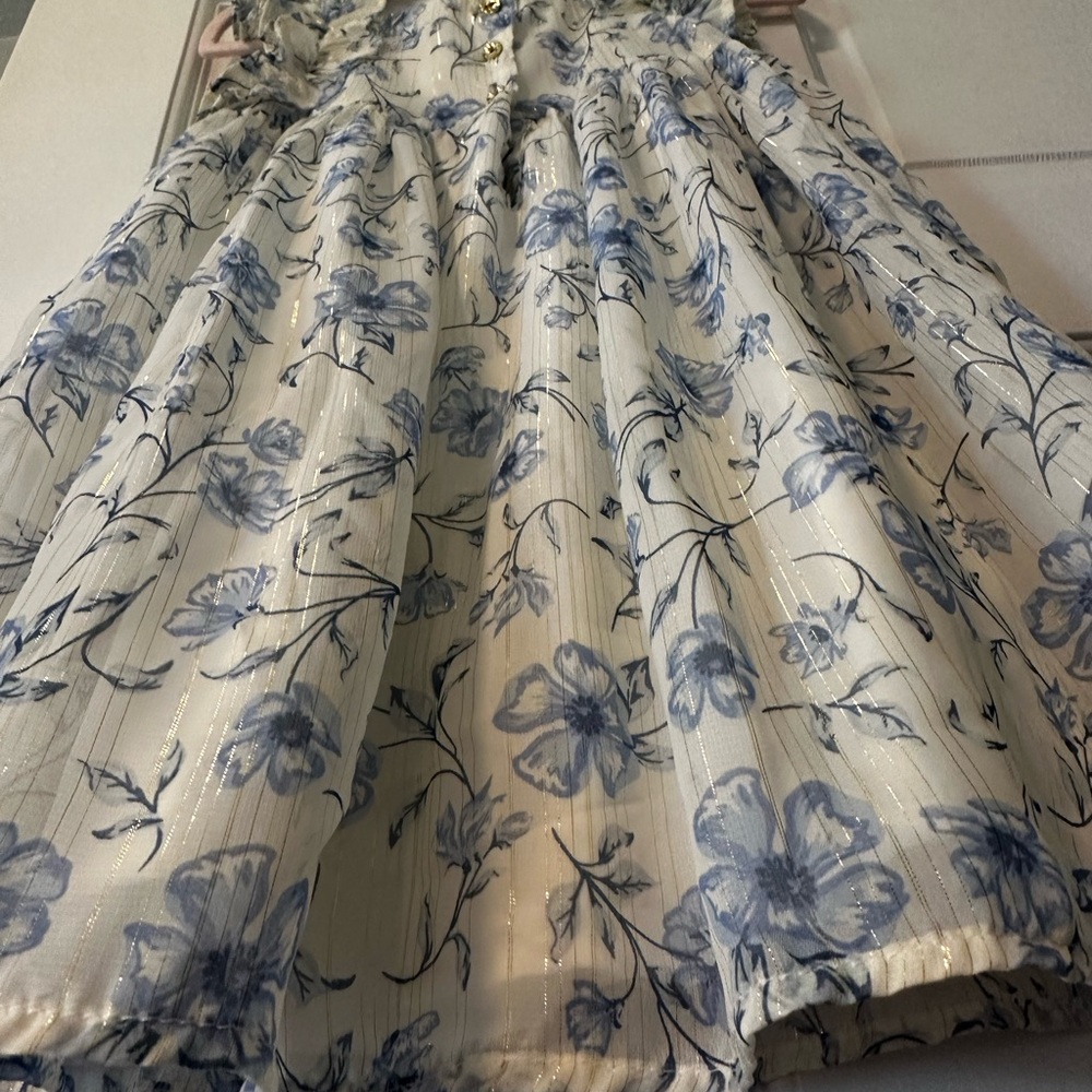 Floral Blue and White Dress - Picture 7 of 12